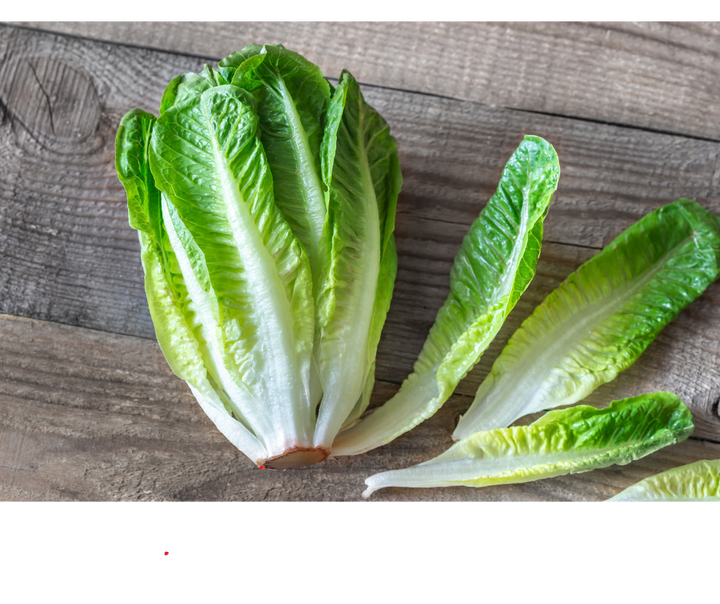 Sałata rzymska EKO 1 szt.