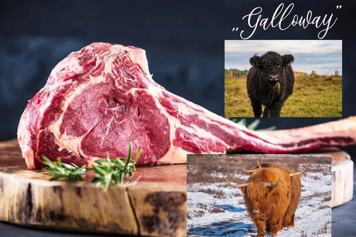 Antrykot wołowy "Galloway" 500 g