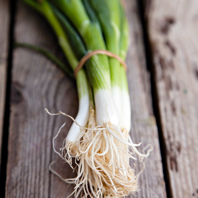 Cebulka szczypior pęczek EKO