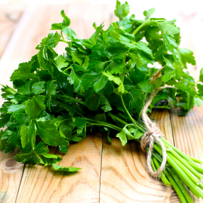 Natka pietruszki - 3 szt. pęczek