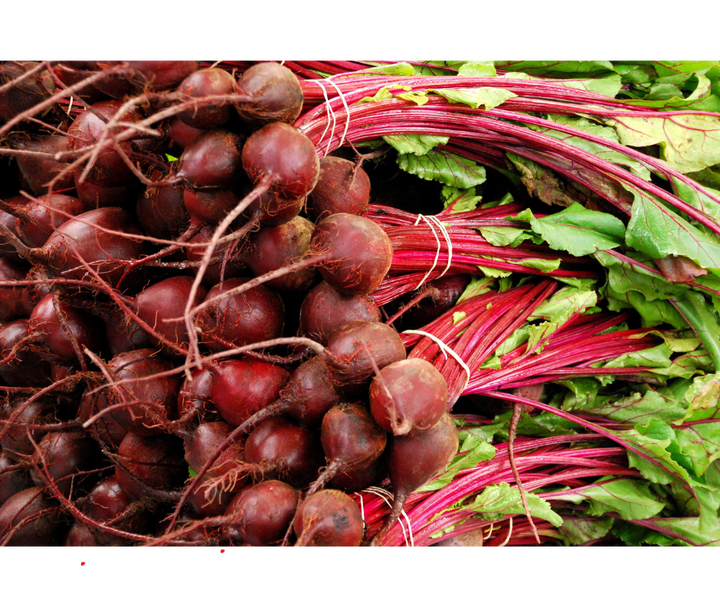 Botwina EKO - 3 pęczki