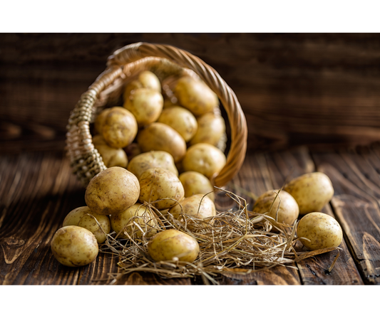 Młode żółte ziemniaki Lord EKO 1 kg