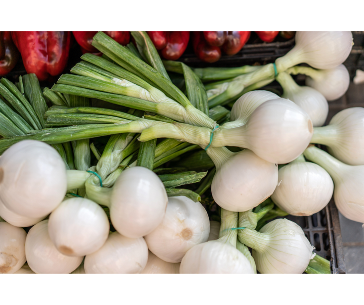 Cebula młoda pęczek 3 szt.