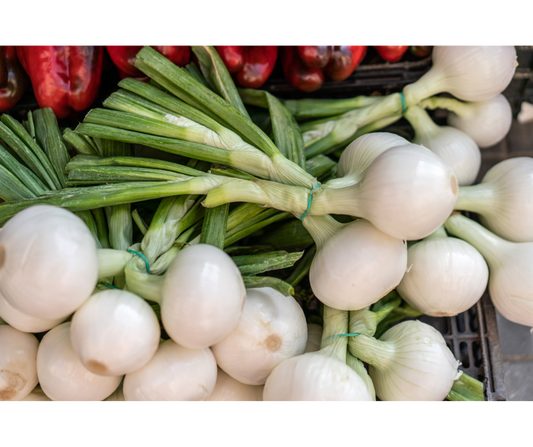 Cebula młoda pęczek 1 szt.