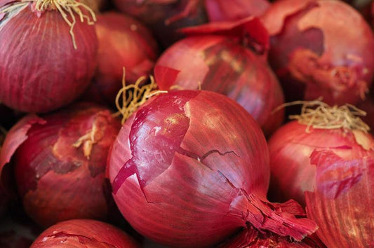 Cebula czerwona EKO 1 kg