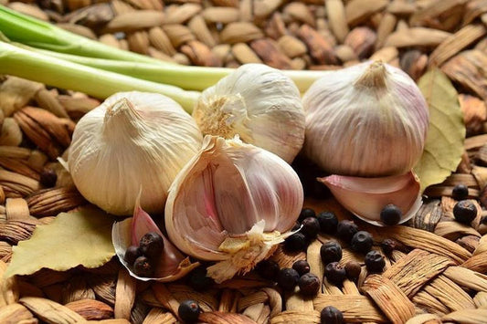 Czosnek średni EKO -3 szt.