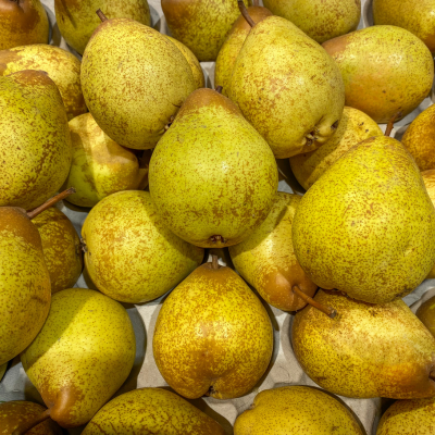 Gruszka konferencja 3-4 szt. ok. 1 kg