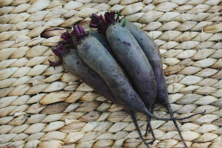 Buraki podłużne Opolskie EKO 1 kg