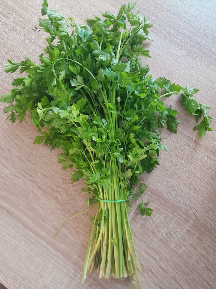 Natka pietruszki pęczek