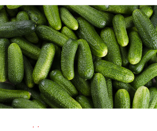 Ogórki gruntowe EKO 500 g